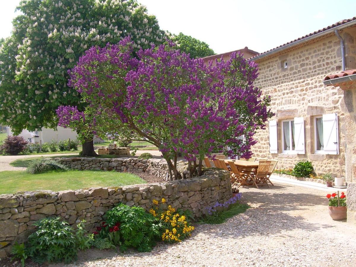 Chez Tiane Puy de Dôme Acomodação com café da manhã Saint-Flour  Exterior foto